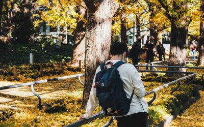 De ideale tas voor de universiteit uitkiezen